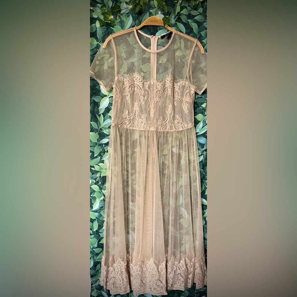 Forever21 sheer mesh dress